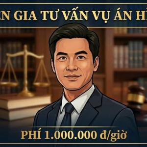 CHUYÊN GIA TƯ VẤN CHUYÊN SÂU VỀ VỤ ÁN HÌNH SỰ